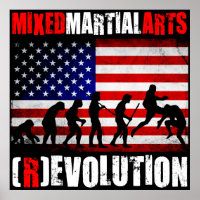 MIXED MARTIAL ARTS - Evolution (Revolution) Diagra