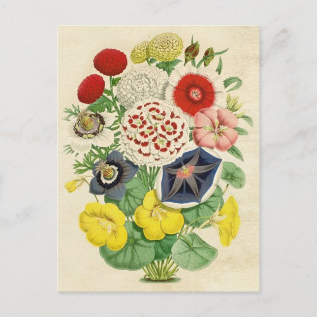 Mixed Vintag florale niedliche Postkarte (Vorderseite)