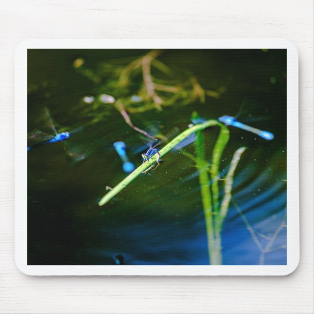 MK2A8136_v01 Mousepad (Vorne)