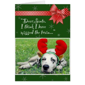 Mlle dalmatienne The Train Green