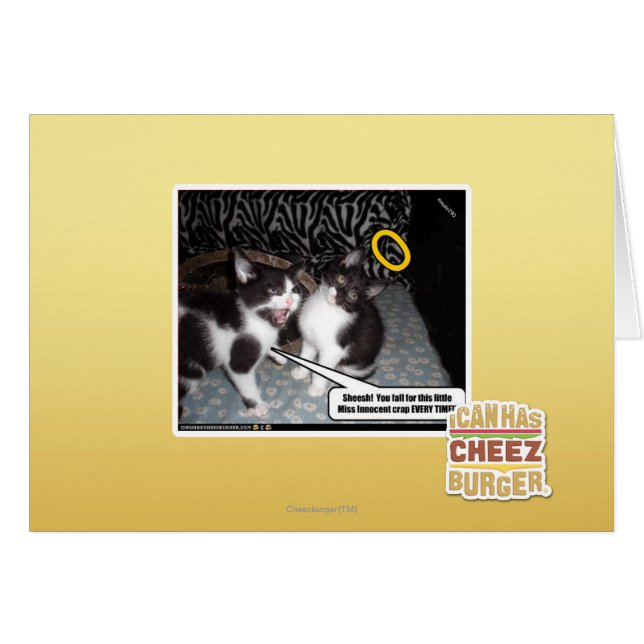 Mlle Innocent (Devant horizontal)