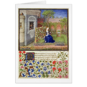 Mme 2617 Emilia dans son jardin, plat 22, de la
