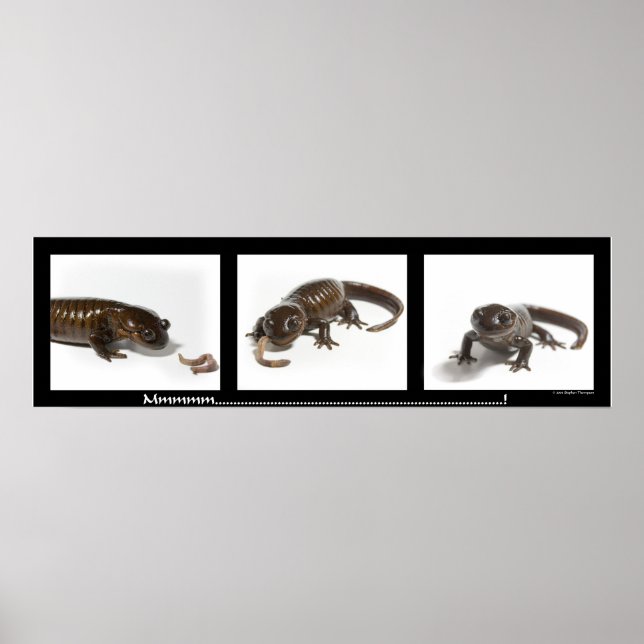 Mmmmmmmmmm..........................! Poster (Vorne)