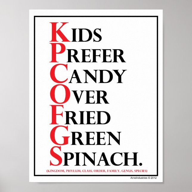 Mnemonisch: Kinder bevorzugen Süßigkeiten - Poster (Vorne)