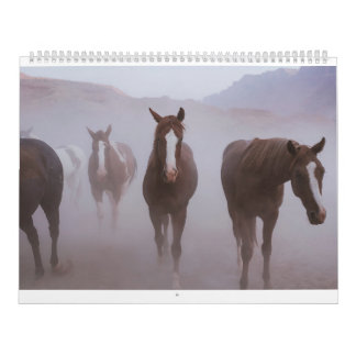 Moab Pferde Kalender