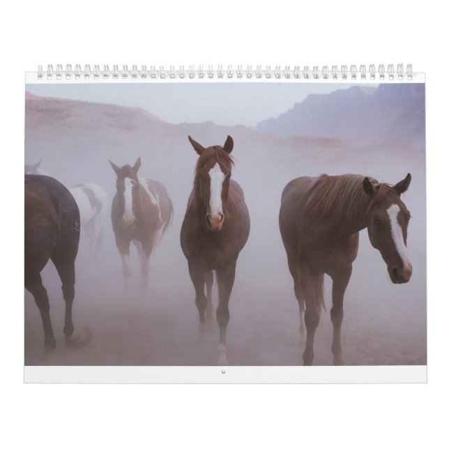 Moab Pferde Kalender (Titelbild)