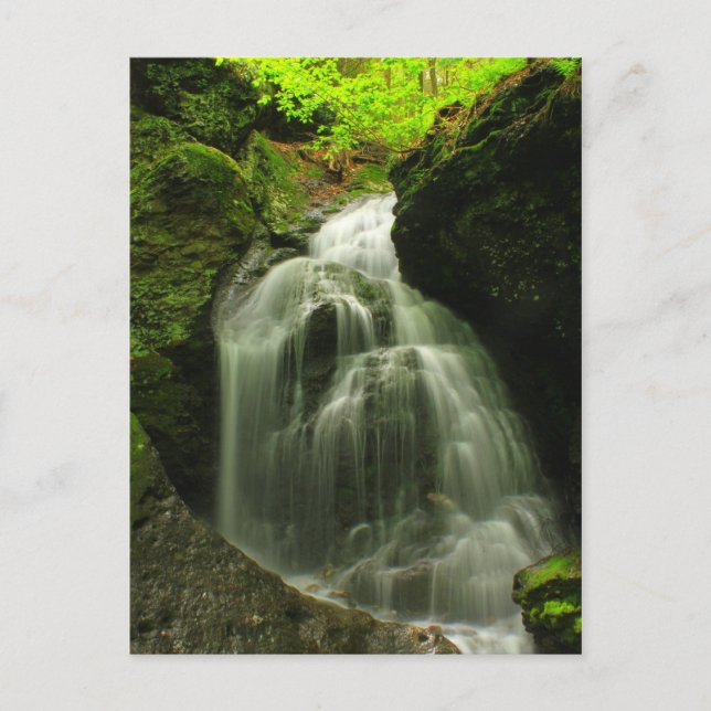 Moby Roaring Falls Wasserfall Postkarte (Vorderseite)