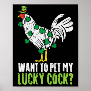Möchte mein glückliches lustiges St. Patrick-Tag M Poster