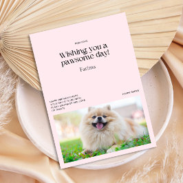 Möchten Sie eine Pawsome Day Spitz Card Karte