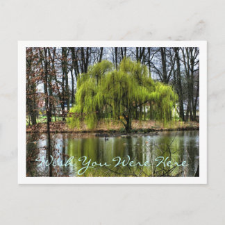 Möchten Sie hier sein? Postkarte