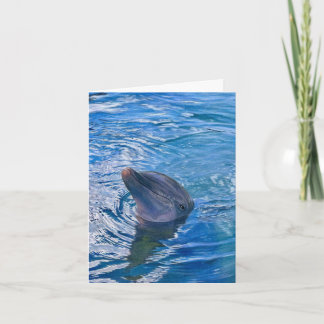 Möchtest du schwimmen? Dankeskarten Dankeskarte