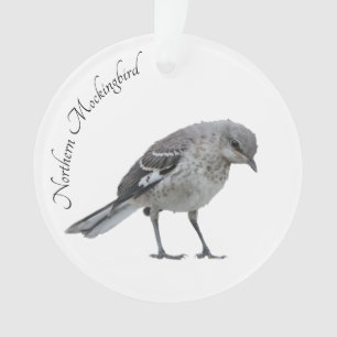Mockingbird