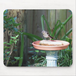 Mockingbird in Birdbath Mousepad