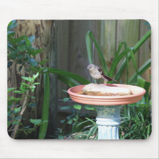 Mockingbird in Birdbath Mousepad