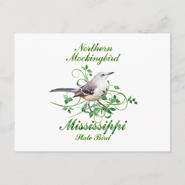 Mockingbird Mississippi Staat Bird Postkarte (Vorderseite)