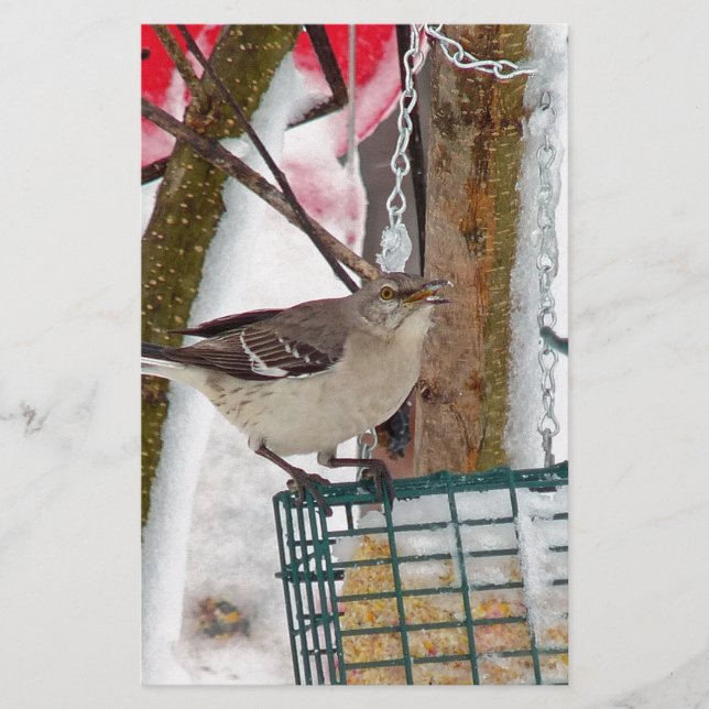 Mockingvogel Briefpapier (Vorderseite)
