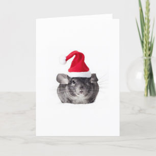 Modèle adorable de Père Noël de chinchilla