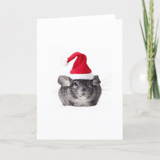 Modèle adorable de Père Noël de chinchilla