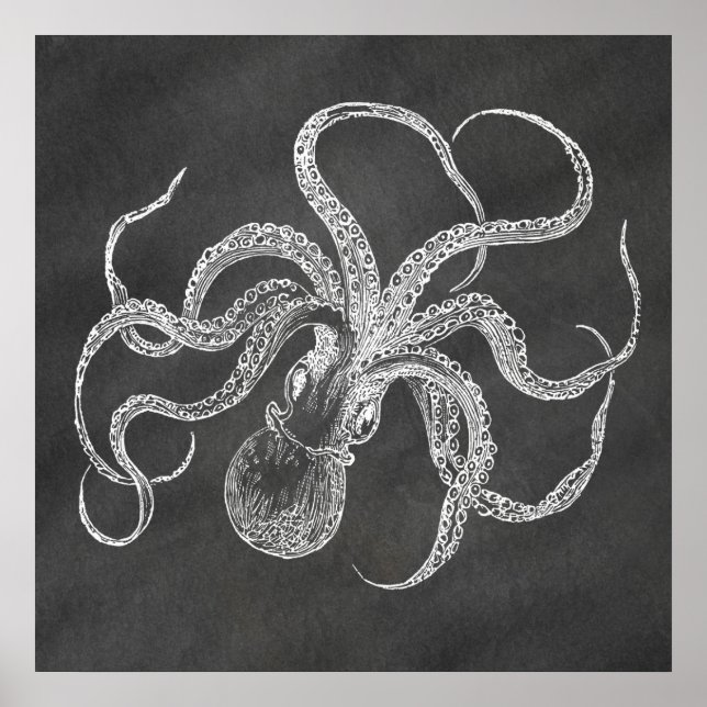 Modèle Arrière - plan de tableau de bord Octopus v (Devant)