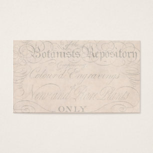 Modèle botanique de 1700s de manuscrit de