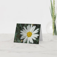 MODÈLE CARTE POUR NOTES X