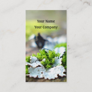 modèle de carte de visite de nature