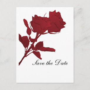 Modèle de carte postale avec rose rouge pour réser