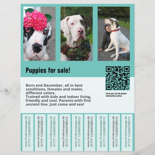 modèle de flyer de vente de chien  (Devant)