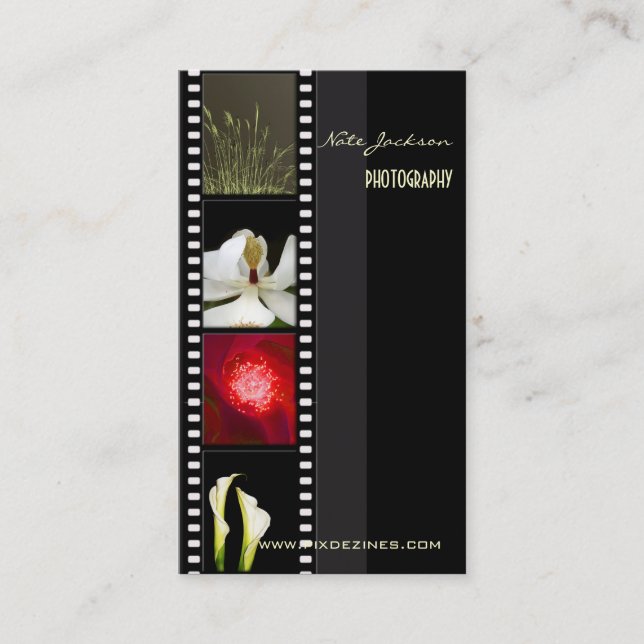 modèle de photos cartes de visite du portefeuille (Devant)