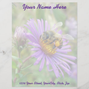 Modèle D'en-tête De Lettre En-tête Fleur sauvage de l'abeille d'automne Aster