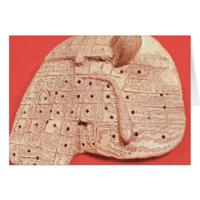 Modèle du foie d'un mouton (Devant horizontal)