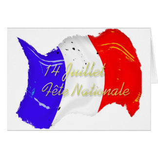 Modèle français grunge de carte de drapeau