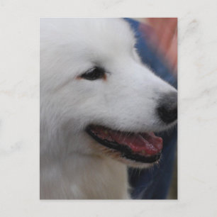 Modèle vertical carte postale - Customisé