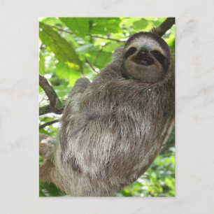 Modèle vertical carte postale - Customisé