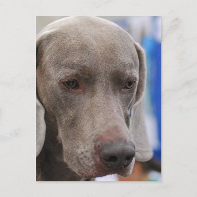 Modèle vertical de carte postale - Customisé (Devant)