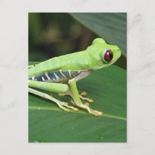 Modèle vertical de carte postale - Customisé