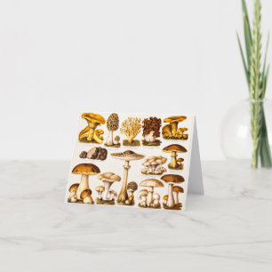 Modèle vintage de variété de champignon de 1800s