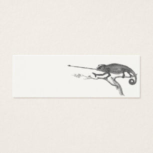 Modèle vintage d'illustration de caméléon de
