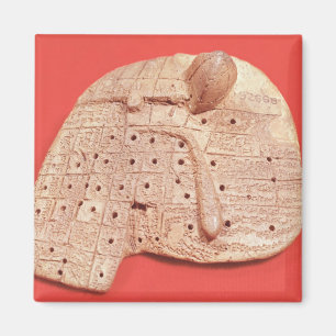 Modell der Leber eines Schafs Magnet