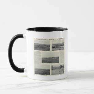 Modell-Weinberge, Kalifornien Tasse