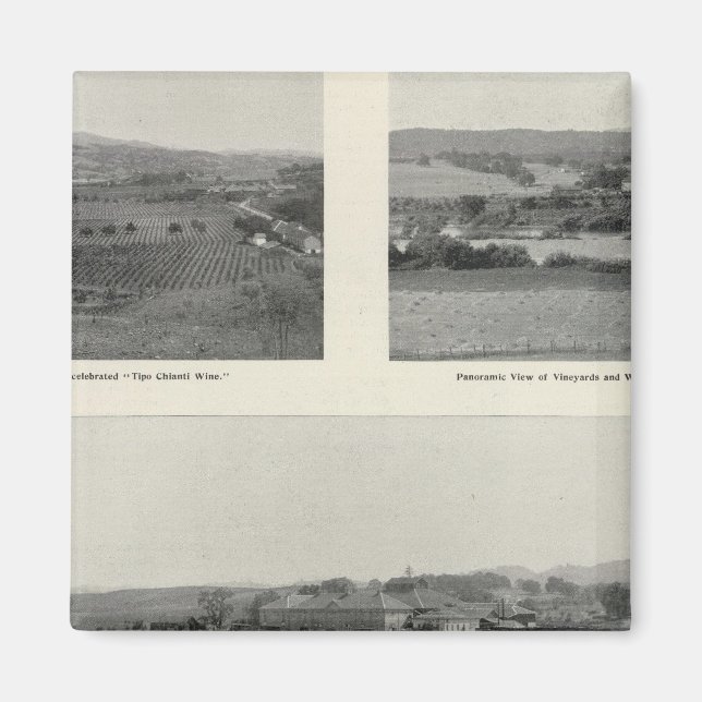 Modellweine, Kalifornien Magnet (Vorne)