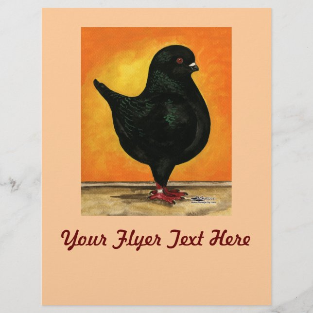 Modena Black Schietti Flyer (Vorne)