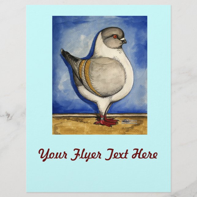 Modena Silver Gazzi Flyer (Vorne)