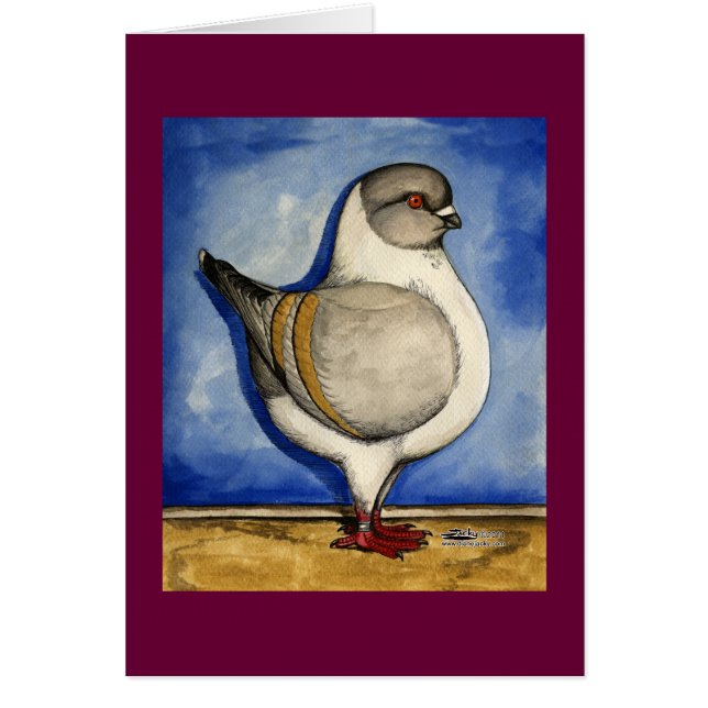 Modena Silver Gazzi Pigeon (Devant)