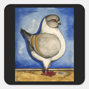 Modena Silver Gazzi Pigeon Quadratischer Aufkleber