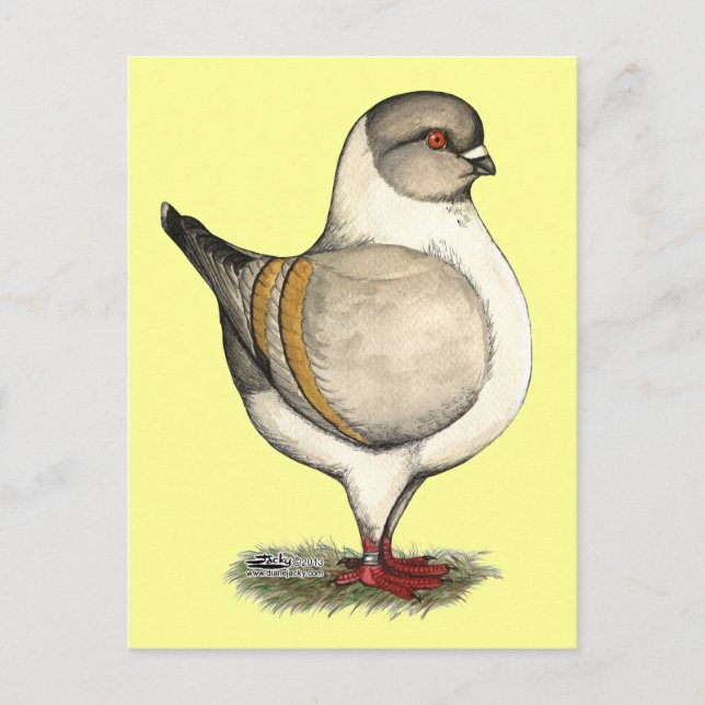 Modena Silver Gazzi Postkarte (Vorderseite)