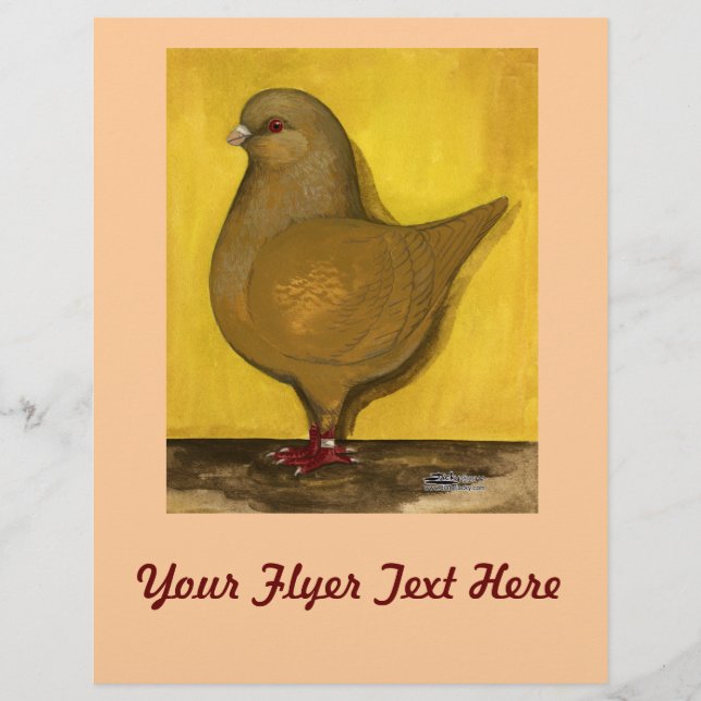 Modena Yellow Schietti Flyer (Vorne)