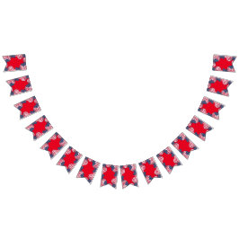 Modern 4th july Patriotic American USA Flag Wimpelkette
