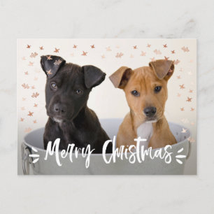 Modern Brush Script Weihnachts-Foto Feiertagspostkarte