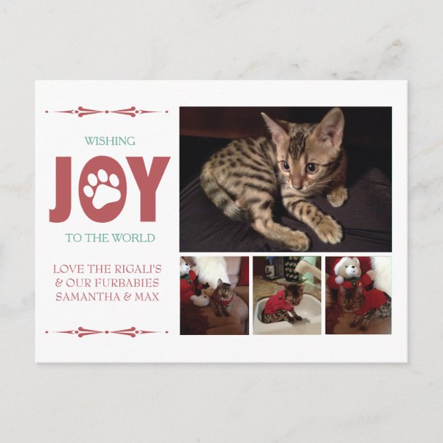 Modern Claret Red Pet Foto Holiday Postcard Postkarte (Vorderseite)